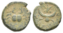 Weight 2.10 gr - Diameter 12 mm Amar Collection Bronze Coin. MESOPOTAMIA. Carrhae. Pseudo-autonomous issue. Carb on reverse.