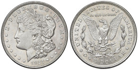 STATI UNITI Dollaro 1921 - KM 110 AG (g 26,79)
SPL