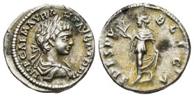 Caracalla AR Denarius. (3.44 Gr. 18mm.) Rome, AD 199. 
Laureate and draped bust right 
Rev. Spes advancing left, holding flower and raising skirt.