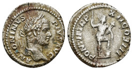 Caracalla AD 211-217. AR Denar (2.9 Gr. 19mm.) Rome 
Laureate bust right 
Rev. Virtus standing right, helmeted, holding reversed spear and parazonium,...