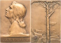 Jugendstil
 Bronzeplakette o.J. (Pierre-Victor Dautel) Elegie. Brustbild einer jungen Frau nach links / Pinien zwischen antiken Ruinen. Randpunze: (F...