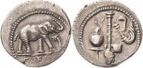 Römische Republik
C. Julius Ceasar 49-44 v. Chr Denar 49 v. Chr., Lagermünzstätte Elefant geht nach rechts, eine Schlange zertretend, CAESAR / Opferg...