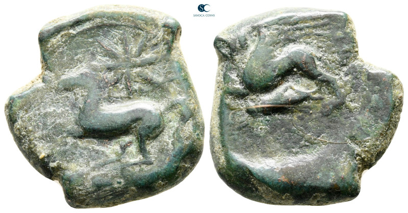 Sicily. Kainon circa 340-300 BC. 
Bronze Æ

22 mm, 10,54 g



nearly very...