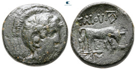Macedon. Macedon under the Romans  circa 168-167 BC. Time of Aemilius Paulius. Gaius Publilius, quaestor. Bronze Æ