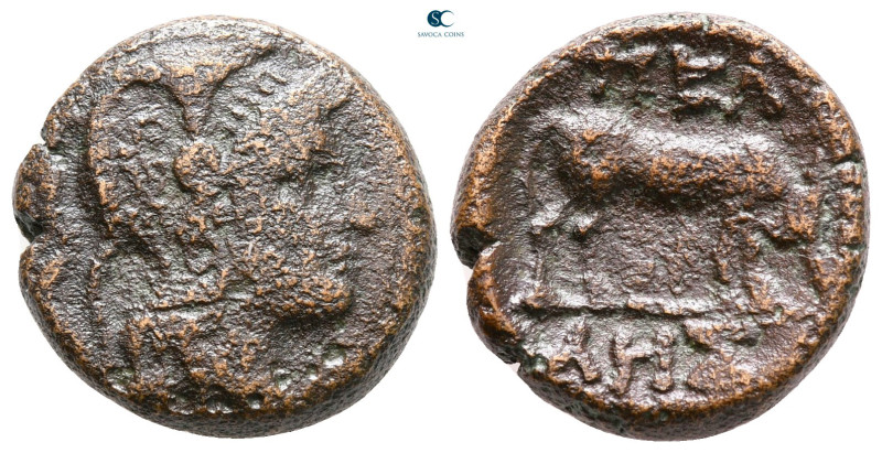 Macedon. Pella circa 187-31 BC. 
Bronze Æ

17 mm, 5,49 g



very fine