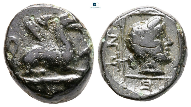 Thrace. Abdera circa 311-280 BC. 
Bronze Æ

14 mm, 3,44 g



very fine