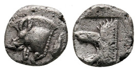 Hemiobol AR
Mysia, Kyzikos, c. 525-475 BC
8 mm, 0,47 g