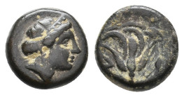 Bronze Æ
Caria, Rhodes, c. 400-300 BC
10 mm, 1,51 g