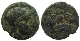 Bronze Æ
Mysia, Pergamon, Owl
22 mm