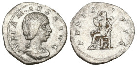 Denarius AR
Julia Maesa, AD 218-225, Rome, IVLIA MAESA AVG, Bust of Julia Maesa, hair waved and turned up low at the back, draped, right / PVDICITIA....