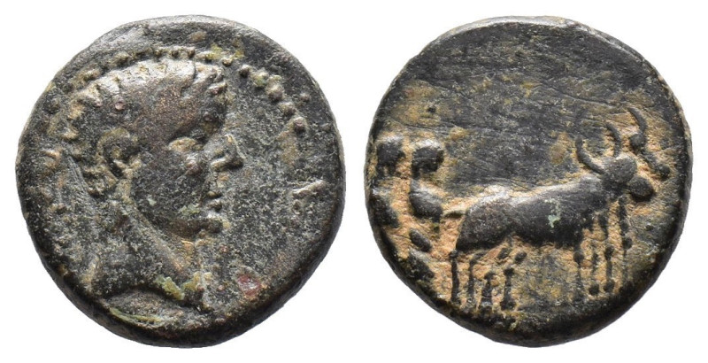 Bronze Æ
Macedon, Philippi, Augustus, (27 BC - AD 14), Bare head to right, of A...
