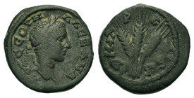 Bronze Æ
Severus Alexander (222-235), Cappadocia, Caesarea, Laureate head r. / Three corn-ears tied together
20 mm, 6,55 g
RPC VI 6848 (temporary)