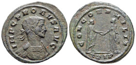 Antoninianus Æ
Probus (276-282), Siscia
23 mm, 3,46 g