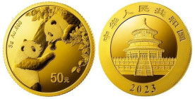 3 g AV Panda, China 2022