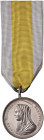 Medaglia Bene Merenti 1896 - AG (g 17,89)
qFDC