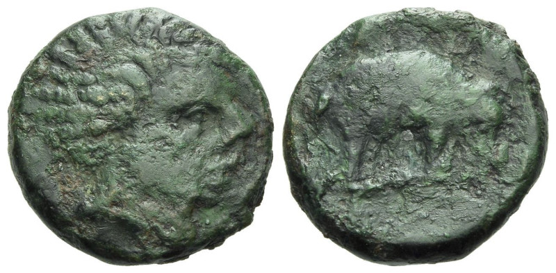 Etruria, Uncertain mint Bronze III century BC, Æ 18.00 mm., 5.07 g.
Negro head ...