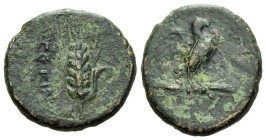 Apulia, Azentium Bronze circa 300-275 - Ex Naville Numismatics sale 75, 8.