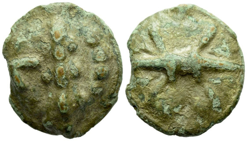 Apulia, Luceria Quadrunx circa 217-212, Æ 31.00 mm., 35.15 g.
Thunderbolt. Rev....