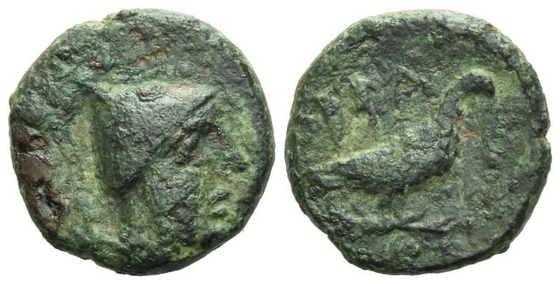 Apulia, Orra Bronze circa 250-225, Æ 16.00 mm., 3.35 g.
Helmeted head r. Rev. E...