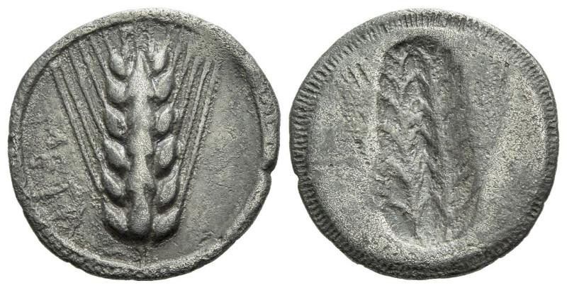 Lucania, Metapontum Drachm circa 540-510, AR 18.00 mm., 2.37 g.
Barley ear. Rev...