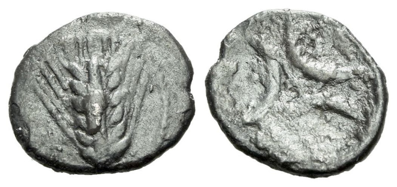 Lucania, Metapontum Trihemiobol circa 430-400, AR 10.00 mm., 0.42 g.
Barley-ear...