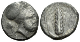 Lucania, Metapontum Nomos circa 340-330 - Ex Naville Numismatics sale 76, 24.