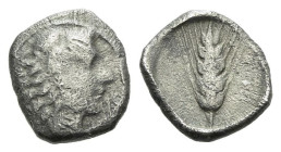 Lucania, Metapontum Obol circa 430-400