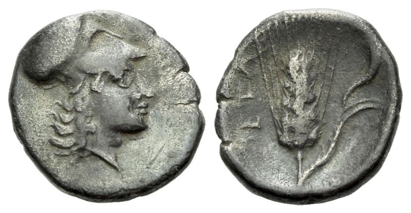 Lucania, Metapontum Diobol circa 325-275, AR 11.00 mm., 1.05 g.
Head of Athena ...
