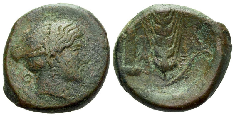 Lucania, Metapontum Bronze circa 425-350, Æ 21.00 mm., 8.76 g.
Head of Nike r.;...