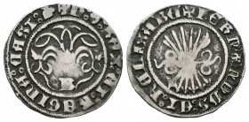 Fernando e Isabel (1474-1504). 1/2 real. Burgos. (Cal-424). Ag. 1,66 g. Cabeza de águila al final de la leyenda en anverso. Escasa. MBC. Est...75,00.