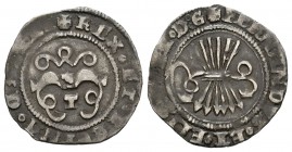 Fernando e Isabel (1474-1504). 1/2 real. Toledo. (Cal-no la cita). Ag. 1,65 g. Con T en anverso y coronas a los lados de haz de seis flechas. Muy rara...
