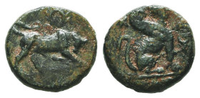 Greek Coins. 4th - 3rd century B.C. AE
Reference:

Condition: Very Fine

Weight: 1 gr
Diameter: 10