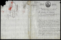 [MINISTRE DE L'INTERIEUR; de NEUFCHâTEAU]. Directoire (1795-1799).
P.A.S. Lettre à en-tête pré-imprimée du Ministre de l'Intérieur, Bureau des établi...