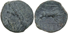 Greek Italy. Northern Apulia, Arpi. AE Unit, c. 325-275 BC. Obv. Laureate head of Zeus left; behind, thunderbolt. Rev. Wild boar right; above, spearhe...