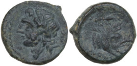 Greek Italy. Northern Apulia, Arpi. AE 14.5 mm, c. 325-275 BC. Obv. Laureate head of Zeus left; thunderbolt behind. Rev. APΠA. Forepart of boar right;...