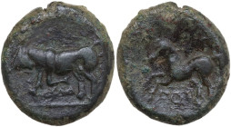 Greek Italy. Northern Apulia, Arpi. AE 21.5 mm, c. 275-250 BC. Obv. Bull charging left; below, ΠOΥΛΛ. Rev. [APΠA]/NOY. Horse rearing left. Cf. HGC 1 5...
