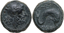 Greek Italy. Northern Apulia, Luceria. AE Teruncius, c. 211-200 BC. Obv. Laureate head of Neptune right; behind, three pellets. Rev. Dolphin right; ab...