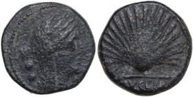 Greek Italy. Northern Apulia, Luceria. AE Biunx, c. 211-200 BC. Obv. Veiled and wreathed head of Ceres right; behind, two pellets. Rev. Scallop shell;...