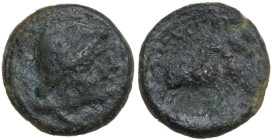 Greek Italy. Northern Apulia, Luceria. AE Semuncia, c. 211-200 BC. Obv. Jugate heads of the Dioscuri right. Rev. LOVCERI. Horses of the Dioscuri right...