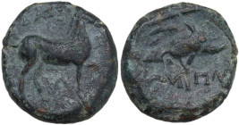 Greek Italy. Northern Apulia, Salapia. AE 20 mm. c. 275-250 BC. Obv. Horse stepping right; above, ΔAIOY; below, A (or Λ ?). Rev. Dolphin right; above,...