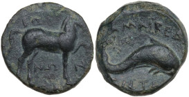 Greek Italy. Northern Apulia, Salapia. AE 17 mm. c. 275-250 BC. Obv. Horse stepping right; above, BΩ; below, NΩN. Rev. Dolphin right; above, AMAIPEΔ; ...
