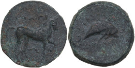 Greek Italy. Northern Apulia, Salapia. AE 23 mm. c. 275-250 BC. Obv. Horse stepping right; around CAΛΠINΩN. Rev. Dolphin right; above traces of legend...