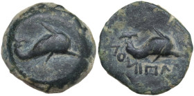 Greek Italy. Northern Apulia, Salapia. AE 15 mm, c. 275-250 BC. Obv. Dolphin right. Rev. Dolphin right; below, [ΣΑ]ΛΑΠΙΝOΝ (retrograde). HN Italy 689....