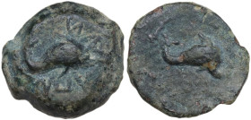 Greek Italy. Northern Apulia, Salapia. AE 14 mm, c. 275-250 BC. Obv. Dolphin right; around blundered ΣΑΛΑΠΙΝΩΝ. Rev. Dolphin right. HN Italy 689. AE. ...