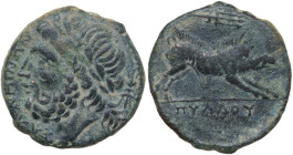 Greek Italy. Northern Apulia, Salapia. AE 20.5 mm, c. 225-210 BC. Obv. ΣΑΛΑΠΙΝΩΝ. Laureate head of Zeus left; to right, thunderbolt. Rev. Boar chargin...