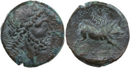 Greek Italy. Northern Apulia, Salapia. AE 21 mm, c. 225-210 BC. Obv. ΣΑΛΑΠΙΝΩΝ. Laureate head of Zeus right. Rev. Boar charging right; above, wreath; ...