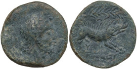 Greek Italy. Northern Apulia, Salapia. AE 21 mm, c. 225-210 BC. Obv. Laureate (small) head of Zeus right. Rev. Boar charging right; above, palm branch...