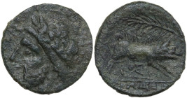 Greek Italy. Northern Apulia, Salapia. AE 21 mm, c. 225-210 BC. Obv. Laureate head of Zeus left. Rev. Boar charging right; above, palm branch; below, ...