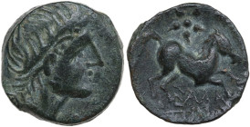 Greek Italy. Northern Apulia, Salapia. AE 19 mm. c. 225-210 BC. Obv. Laureate head of Apollo right. Rev. Horse prancing right; above, star of five ray...