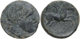 Greek Italy. Northern Apulia, Salapia. AE 20 mm. c. 225-210 BC. Obv. Laureate head of Apollo right. Rev. Horse prancing right; above, star of seven ra...